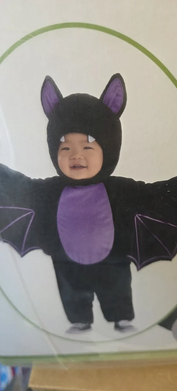 Classic Infant Bat Costume --Infant 3-6 months Halloween- Soft and Cozy--NIP